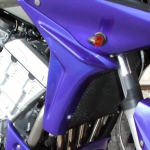 Kühlerverkleidung Yamaha FZS 1000 Kühlerverkleidung für Yamaha FZS 1000 Fazer