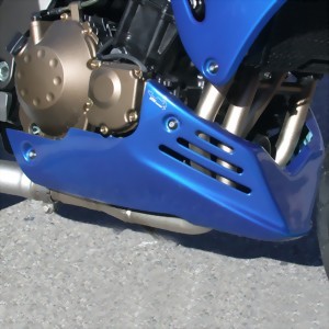 Bugspoiler für Kawasaki Z750 2004-2006