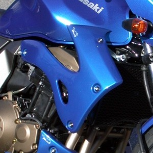 Kühlerverkleidung für Kawasaki Z750 2004-2006